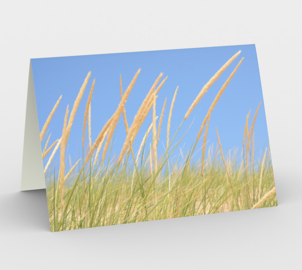 Beach Grass Card - Set of 3