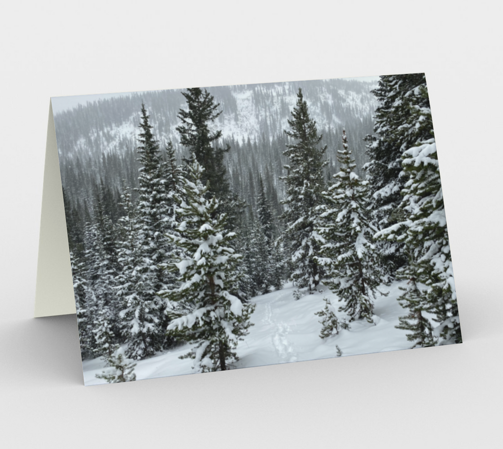 Following the Trail Note Cards — Colorado Winter Photography Cards (Set of 3)