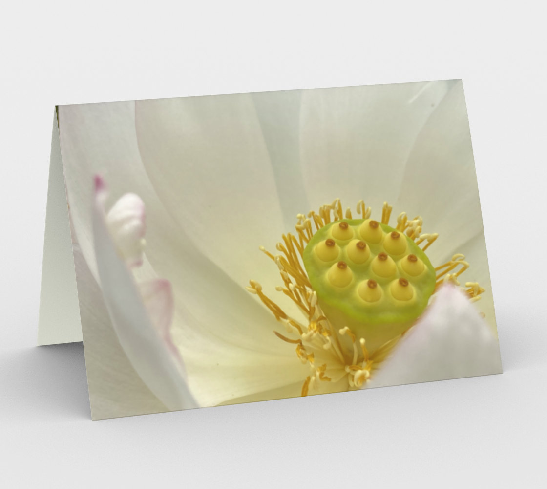 Water Lilly Art - Set of 3